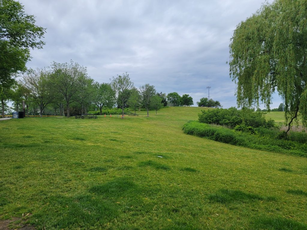 (Cambridge) Danehy Park