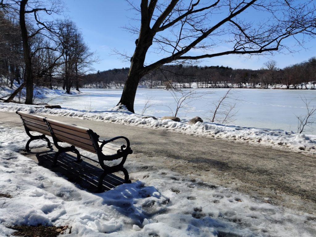 (Jamaica Plain) Jamaica Pond