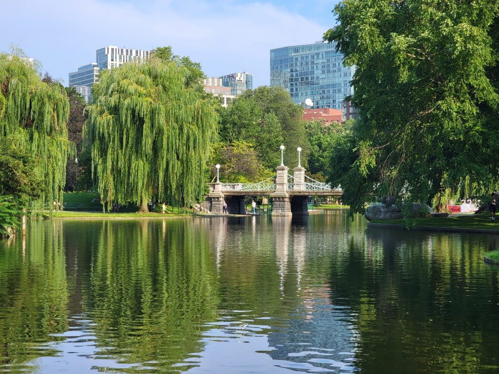 (Beacon Hill) Boston Public Garden