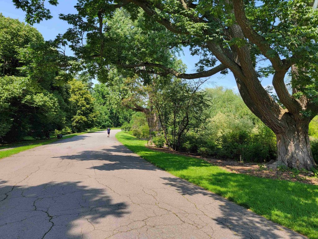 (Jamaica Plain) The Arnold Arboretum