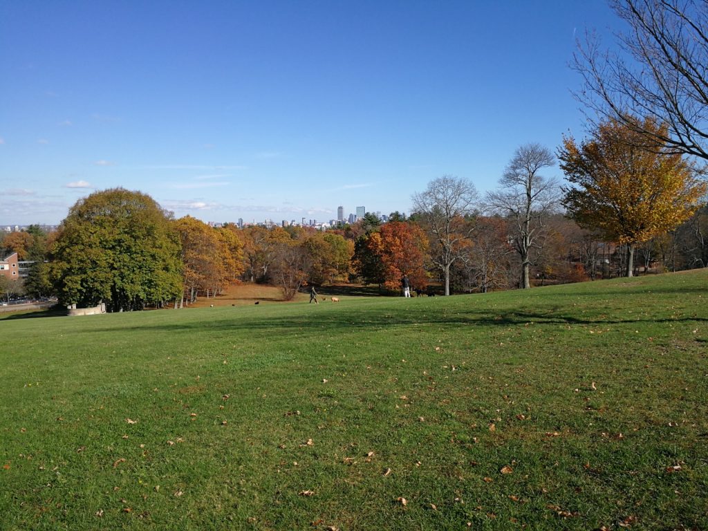 (Brookline) Larz Anderson Park 